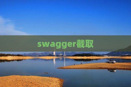 swagger截取